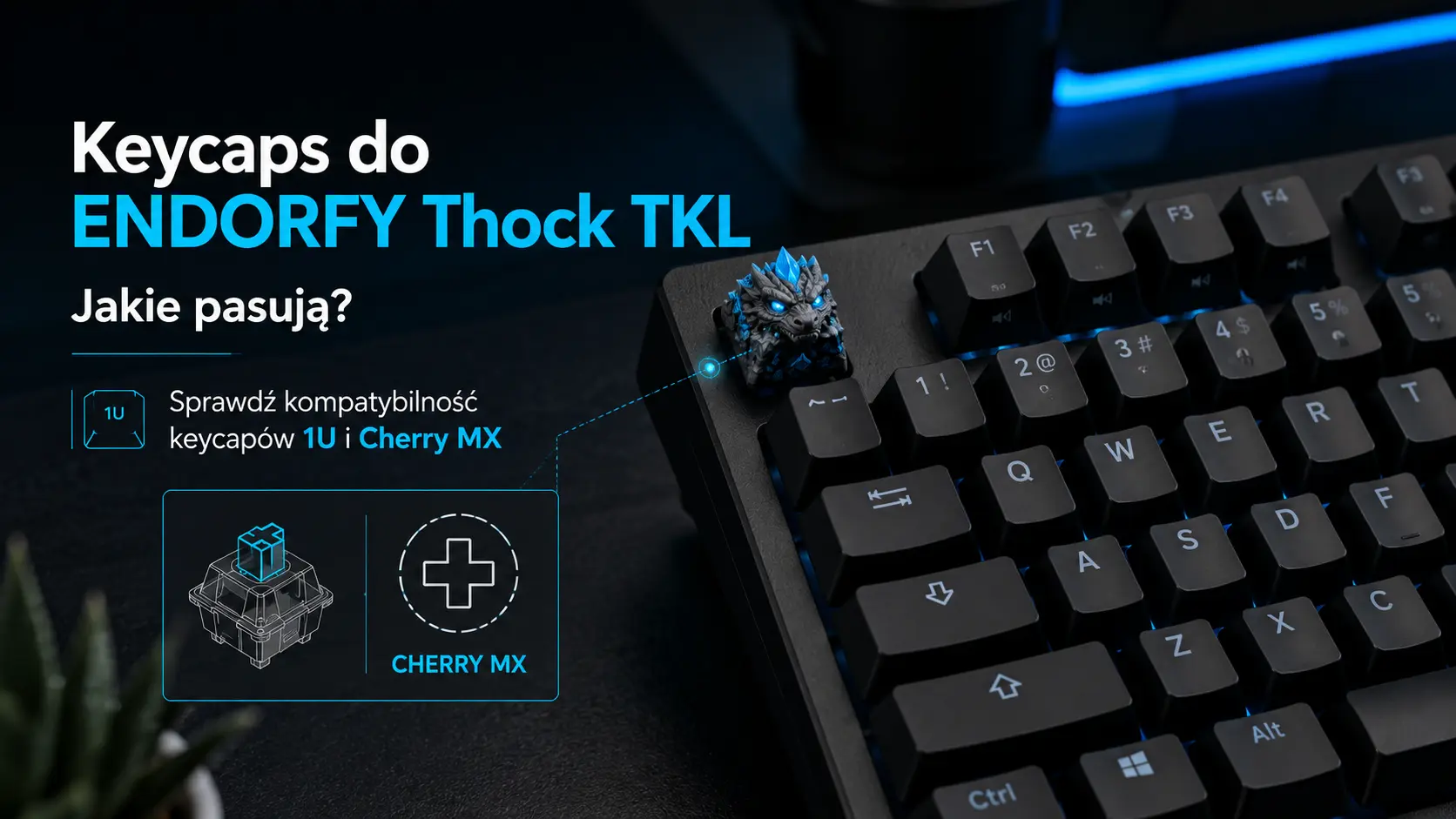 keycaps do ENDORFY Thock TKL